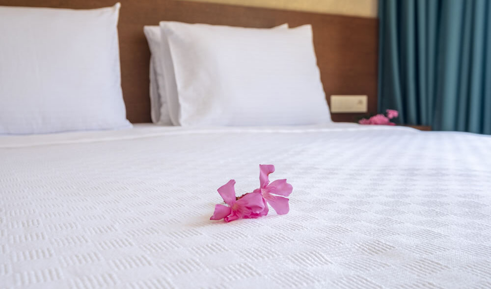 _DSF2507-HDR